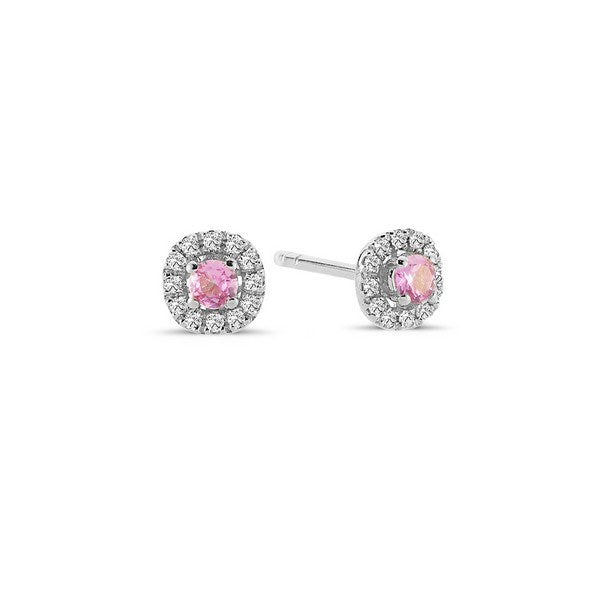 Nuran Sofia øreringe i 14 kt hvidguld med pink safir og 0,12 ct diamanter